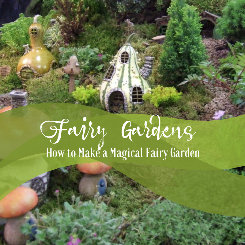 Magical Fairy Garden, What Plants Are Best For A Fairy Garden